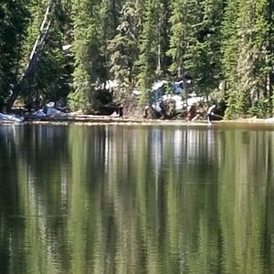 Meet your Posher, Caari